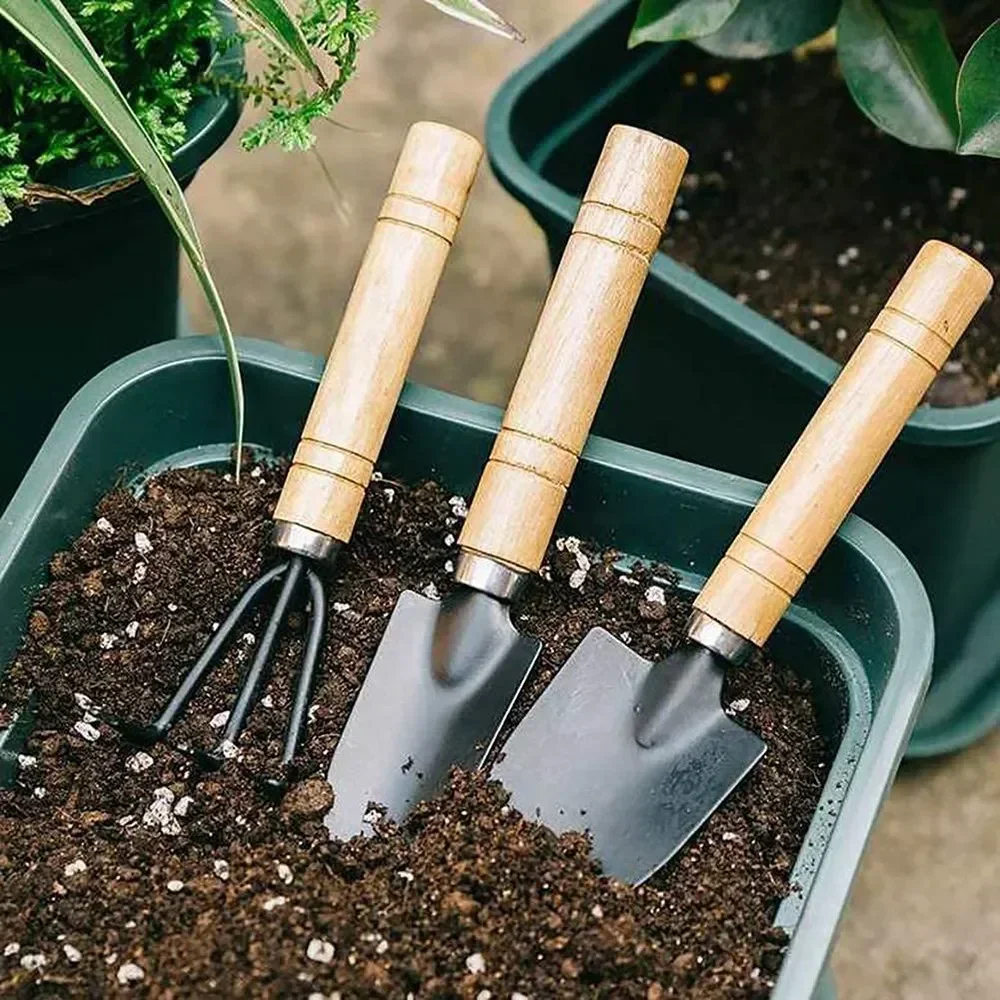 3Pcs/Set Mini Garden Tool Set  - Cactus Mix Pot recensione e prezzo