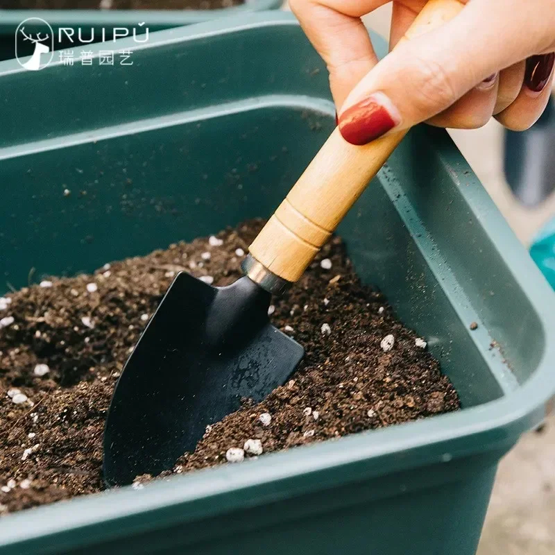 3Pcs/Set Mini Garden Tool Set  - Cactus Mix Pot recensione e prezzo
