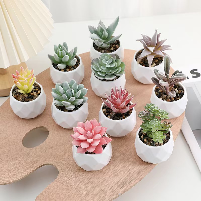 Mini Artificial Plants Simulat - Cactus Mix Pot recensione e prezzo