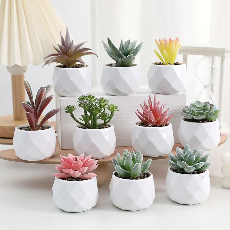 Mini Artificial Plants Simulat - Cactus Mix Pot recensione e prezzo
