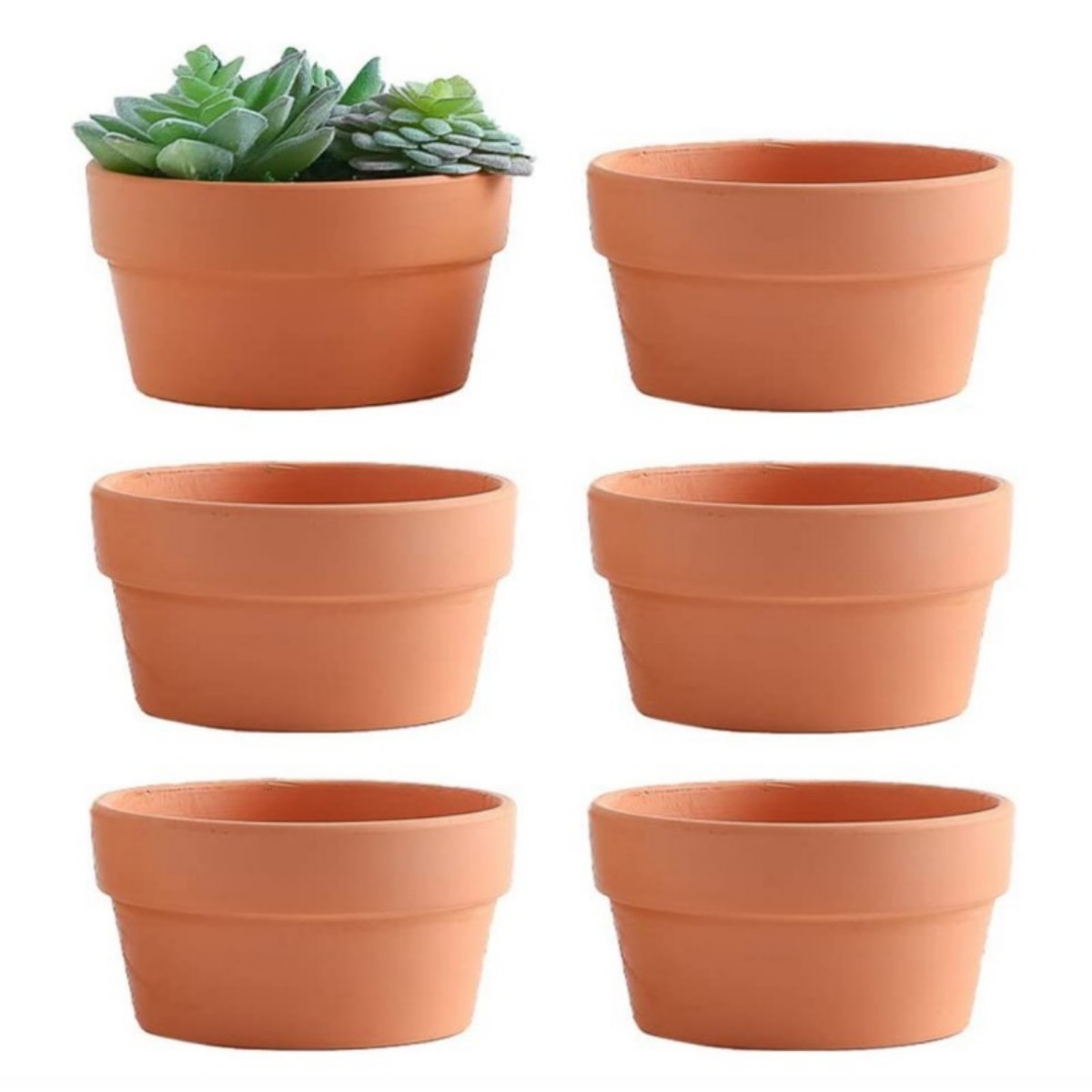 6 PCS Terracotta Buld Pots 3.5 - Cactus Mix Pot recensione e prezzo
