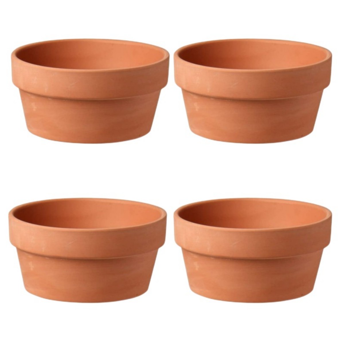 6 PCS Terracotta Buld Pots 3.5 - Cactus Mix Pot recensione e prezzo
