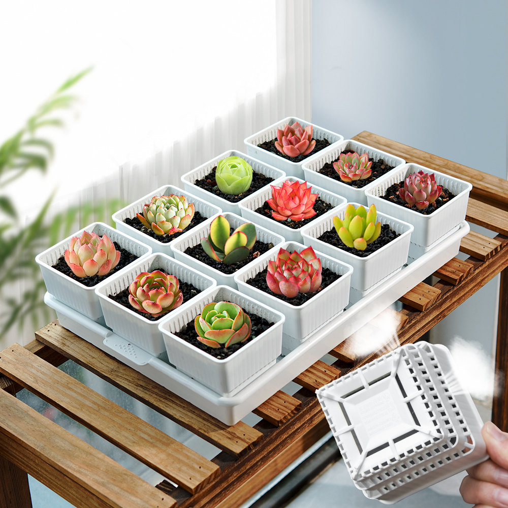 Meshpot Succulent Pot Plastic  - Cactus Mix Pot recensione e prezzo