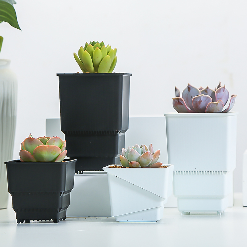 Meshpot Succulent Pot Plastic  - Cactus Mix Pot recensione e prezzo
