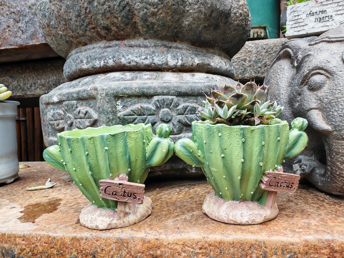 Cactus Flower Planter Pot Cute - Cactus Mix Pot recensione e prezzo