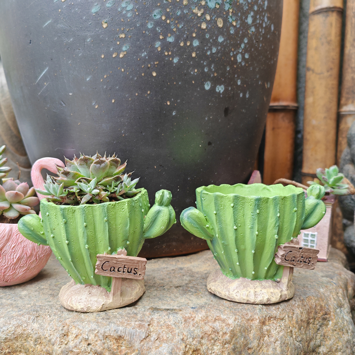 Cactus Flower Planter Pot Cute - Cactus Mix Pot recensione e prezzo