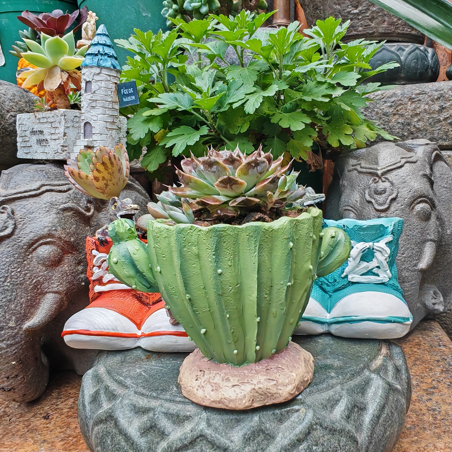 Cactus Flower Planter Pot Cute - Cactus Mix Pot recensione e prezzo