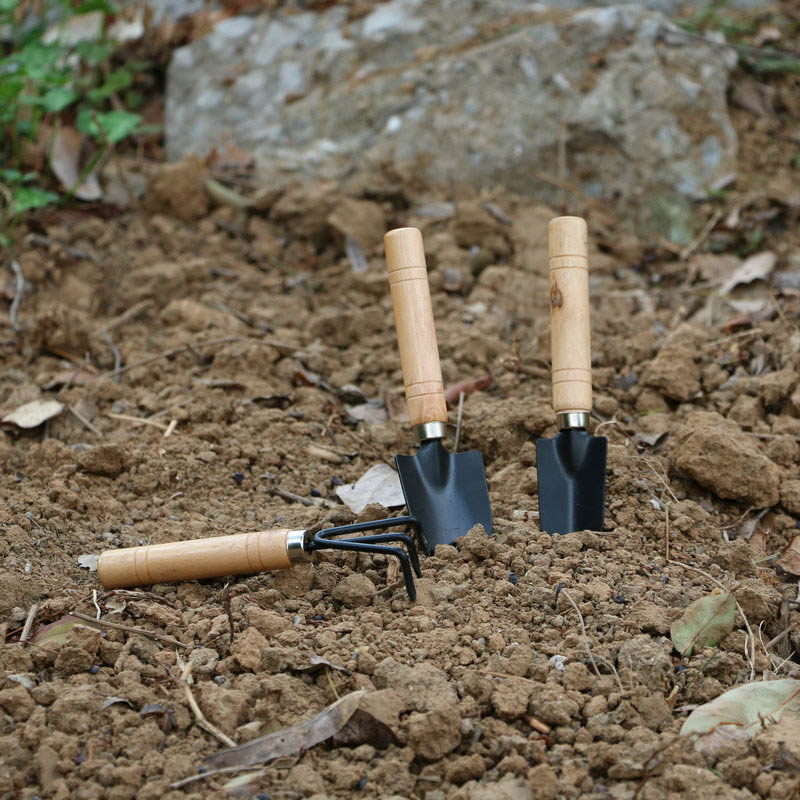 3Pcs/Set Mini Garden Tool Set  - Cactus Mix Pot recensione e prezzo
