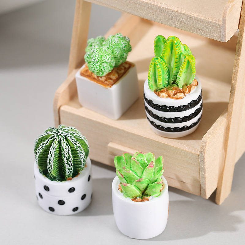 4pcs/Set Of Mini Succulent Pot - Cactus Mix Pot recensione e prezzo