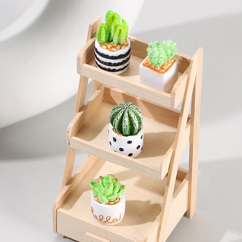 4pcs/Set Of Mini Succulent Pot - Cactus Mix Pot recensione e prezzo