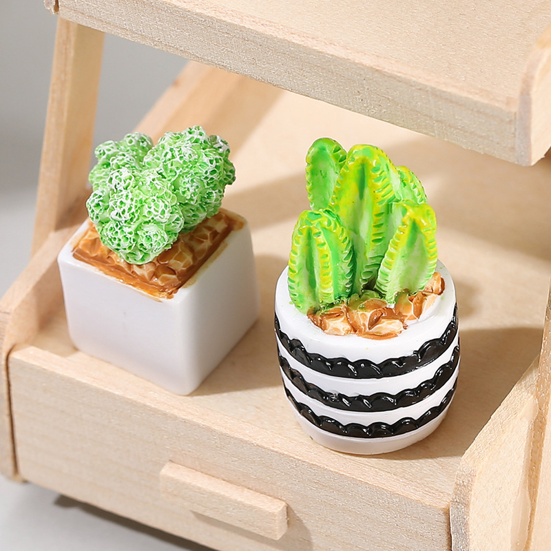 4pcs/Set Of Mini Succulent Pot - Cactus Mix Pot recensione e prezzo