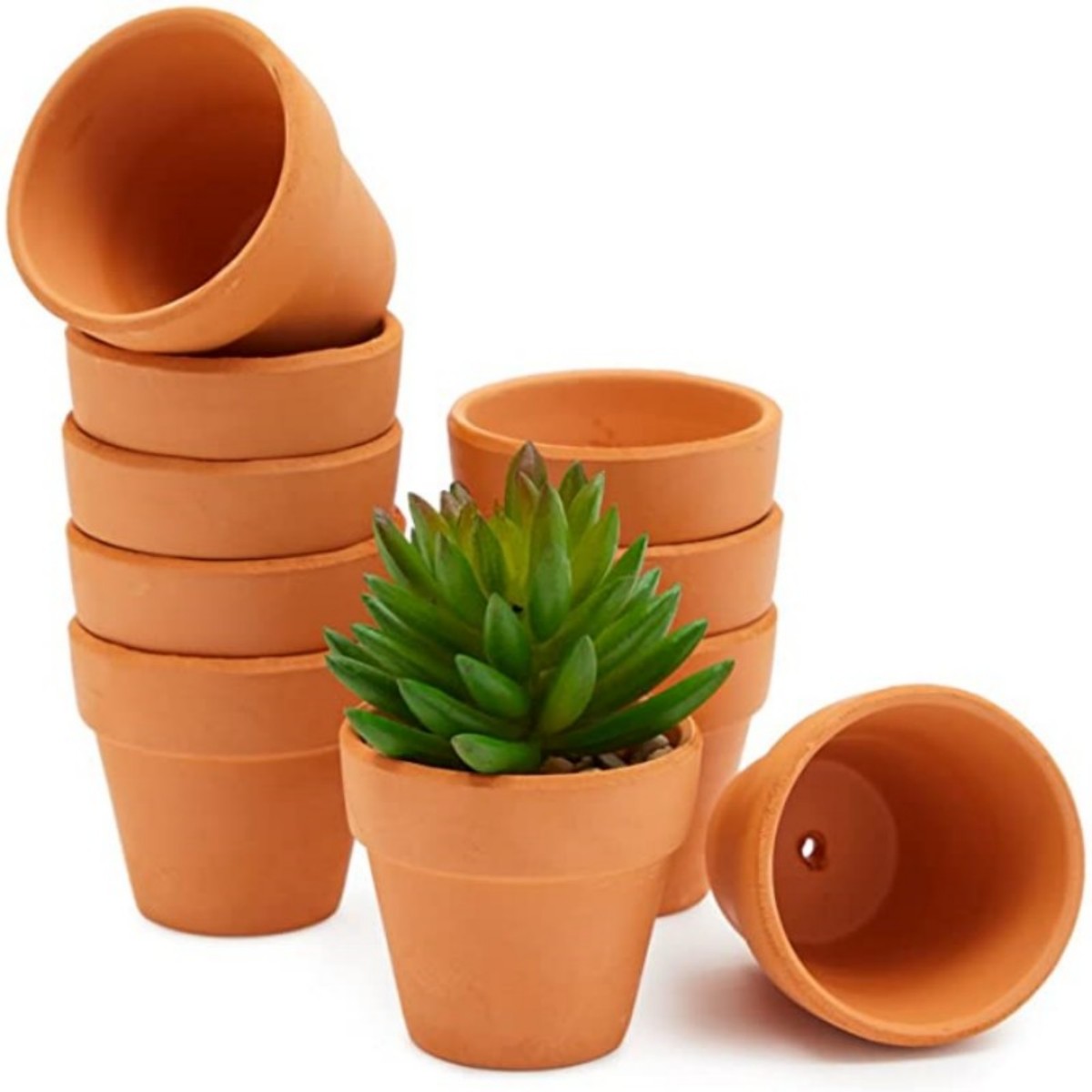 16 Pcs 1.8'' Terra Cotta Pots  - Cactus Mix Pot recensione e prezzo
