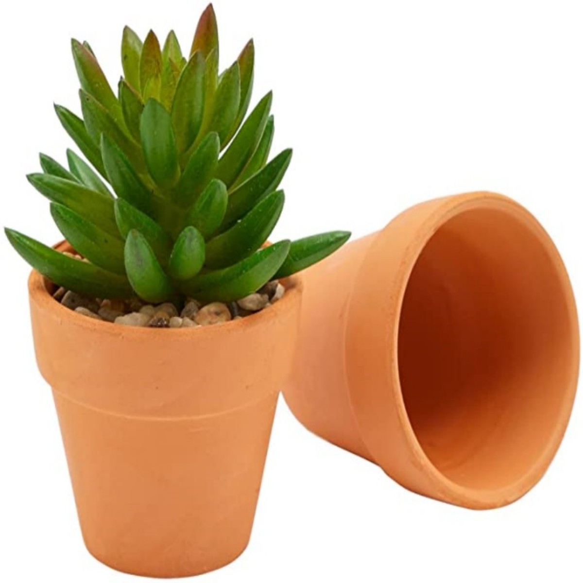 16 Pcs 1.8'' Terra Cotta Pots  - Cactus Mix Pot recensione e prezzo