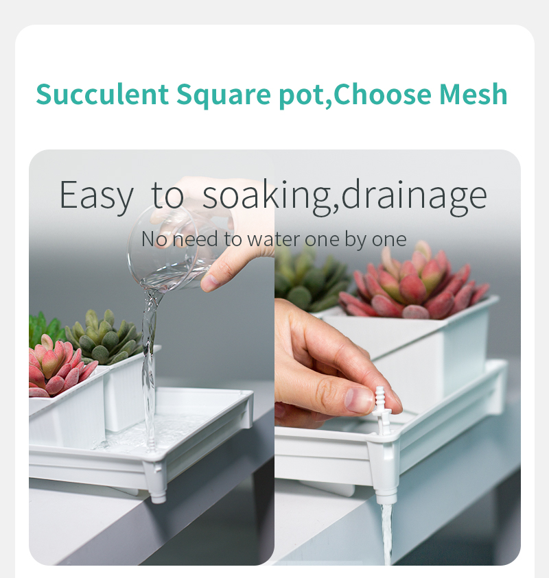 Meshpot Succulent Pot Set Cact - Cactus Mix Pot recensione e prezzo