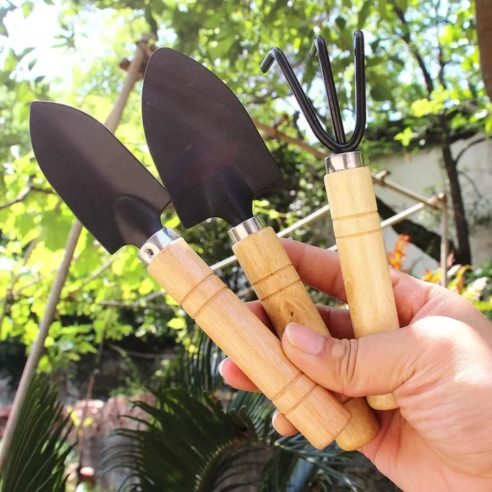 3Pcs/Set Mini Garden Tool Set  - Cactus Mix Pot recensione e prezzo