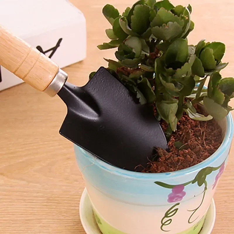 3Pcs/Set Mini Garden Tool Set  - Cactus Mix Pot recensione e prezzo