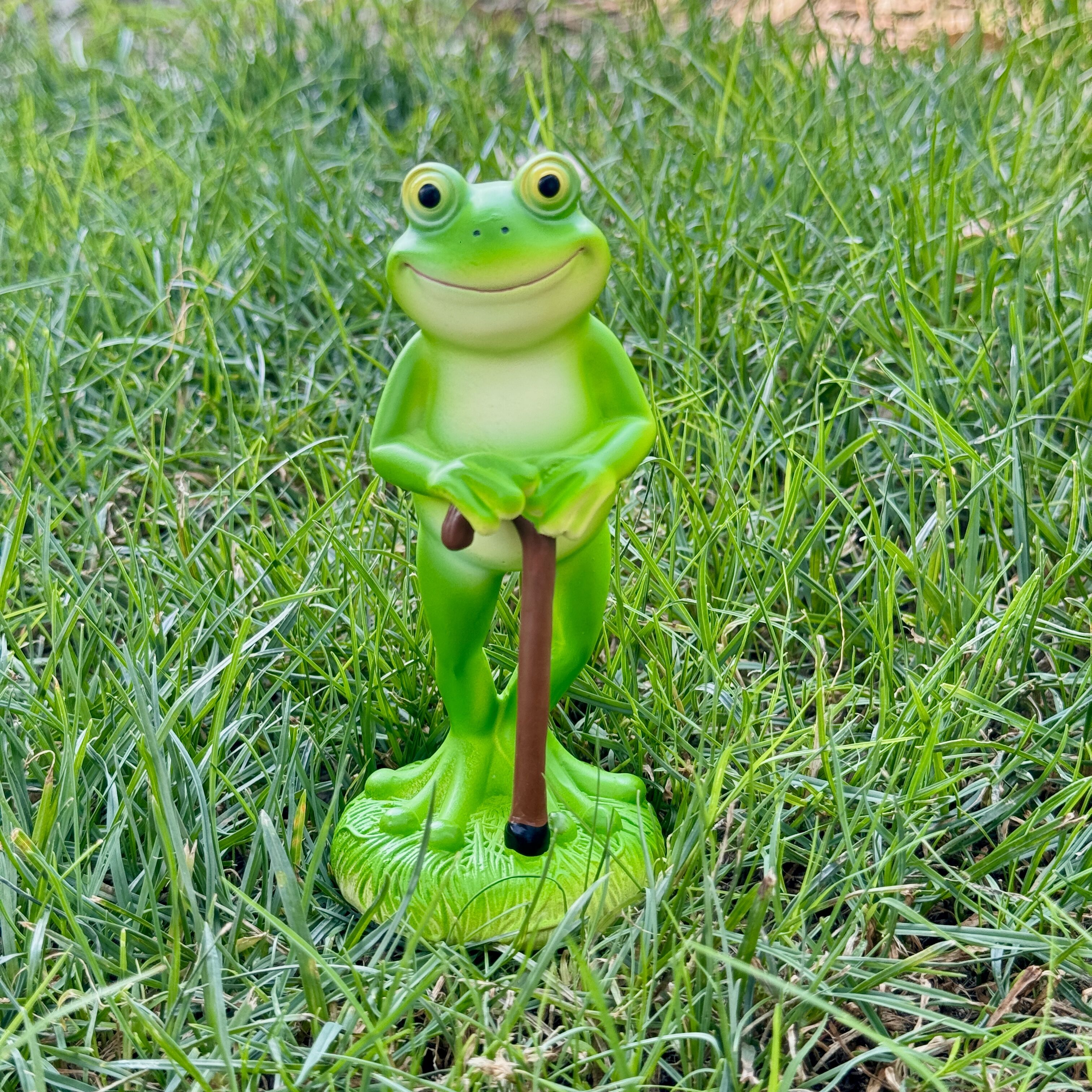 1Pc Charming Green Frog Garden - Plant Parent Pot recensione e prezzo