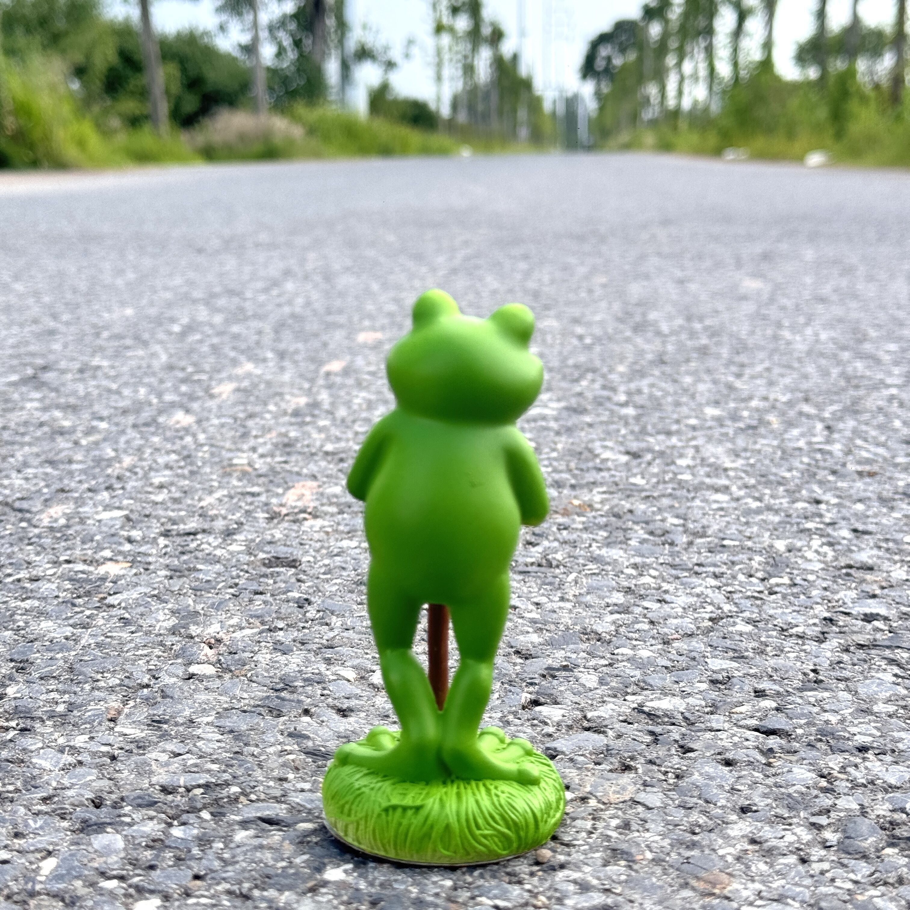 1Pc Charming Green Frog Garden - Plant Parent Pot recensione e prezzo