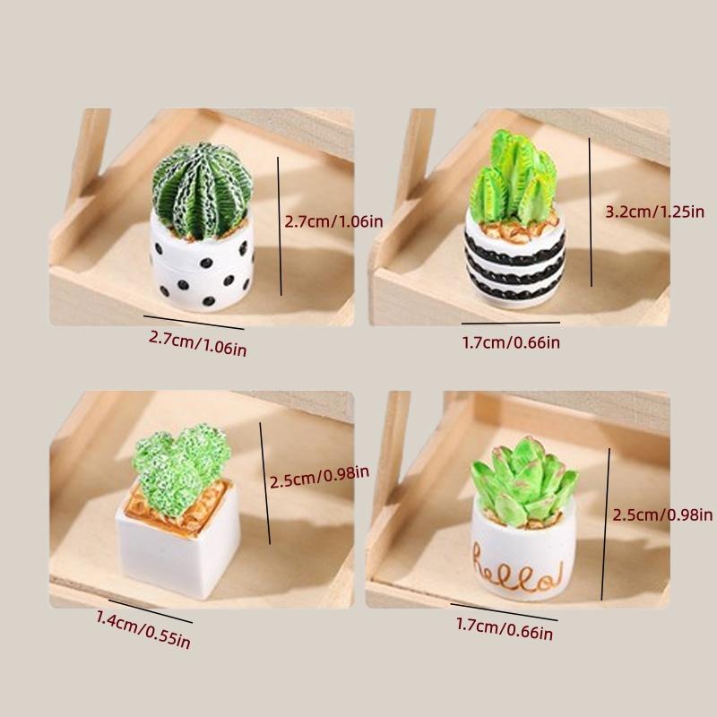 4-Piece Set of Cactus Succulen - Cactus Mix Pot recensione e prezzo