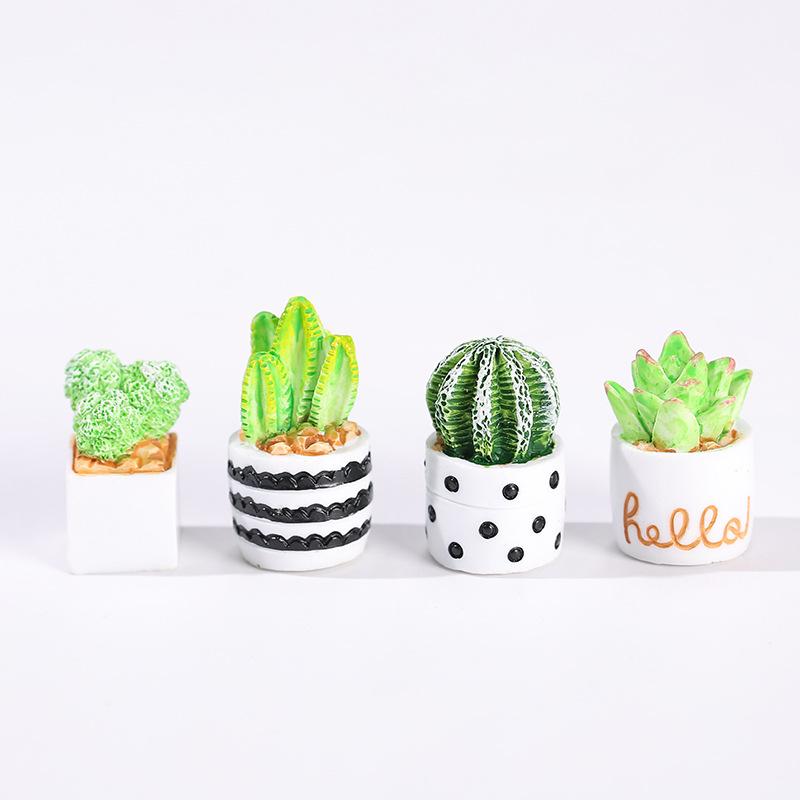4-Piece Set of Cactus Succulen - Cactus Mix Pot recensione e prezzo