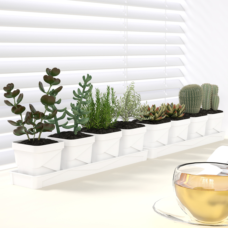 Nordic Minimalist Succulent Po - Cactus Mix Pot recensione e prezzo