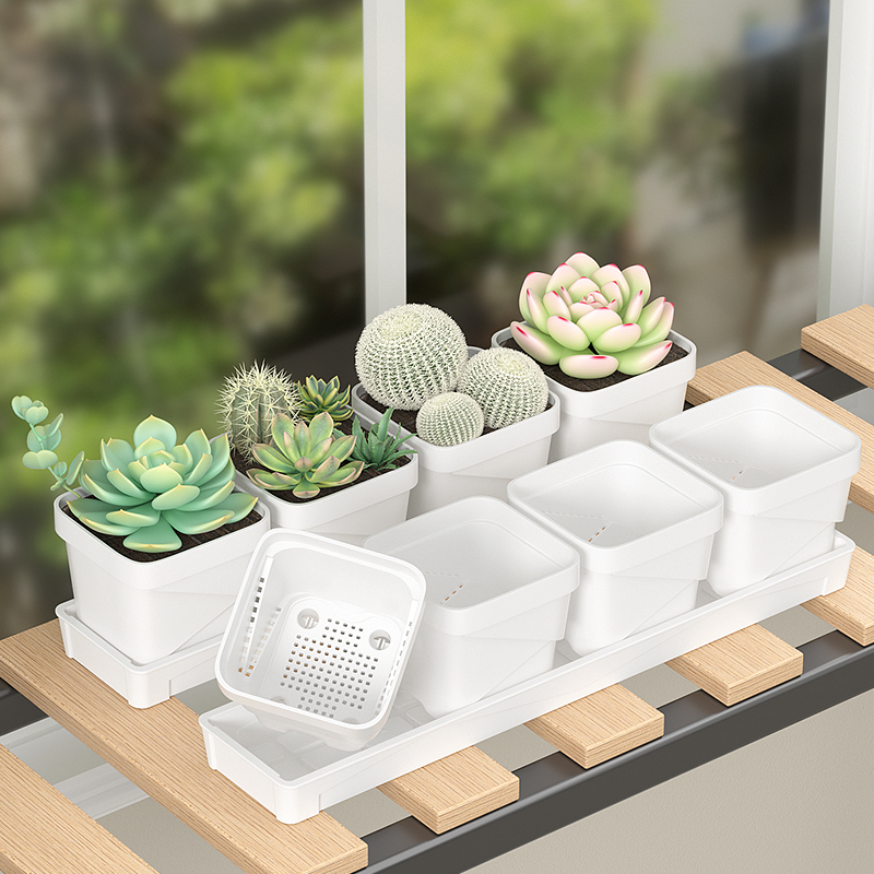 Nordic Minimalist Succulent Po - Cactus Mix Pot recensione e prezzo