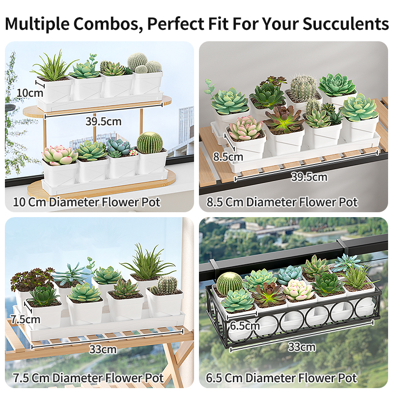 Nordic Minimalist Succulent Po - Cactus Mix Pot recensione e prezzo