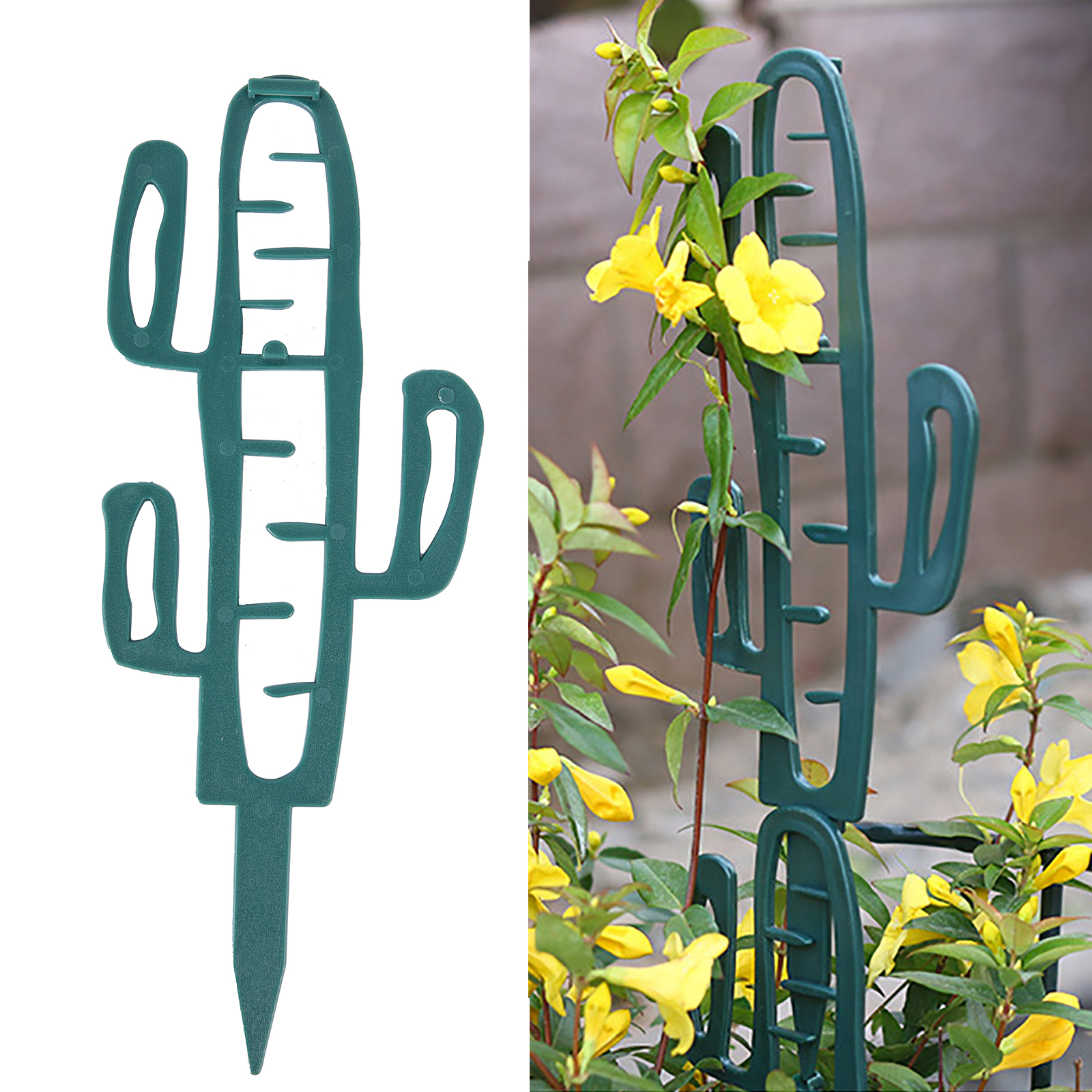 Plant Climbing Support Stand F - Cactus Mix Pot recensione e prezzo