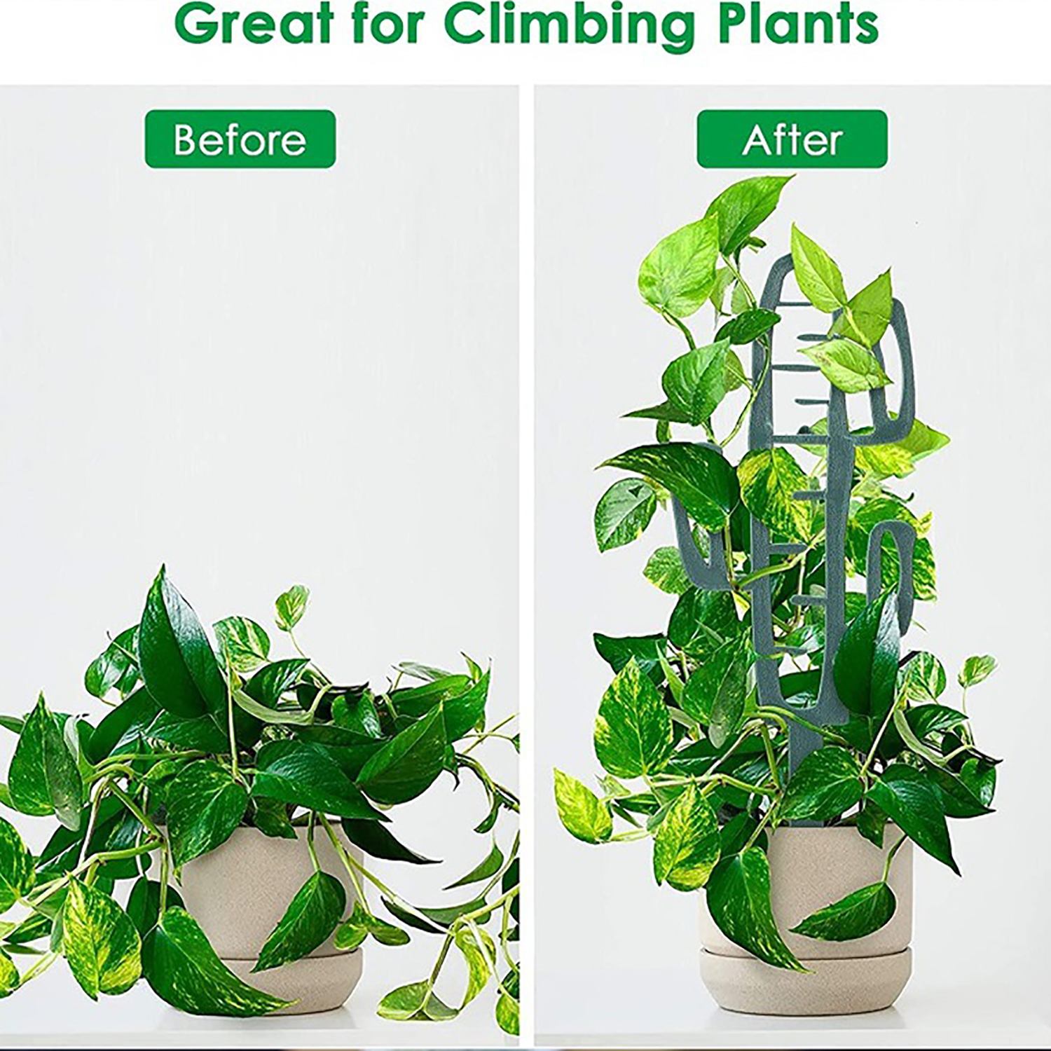 Plant Climbing Support Stand F - Cactus Mix Pot recensione e prezzo