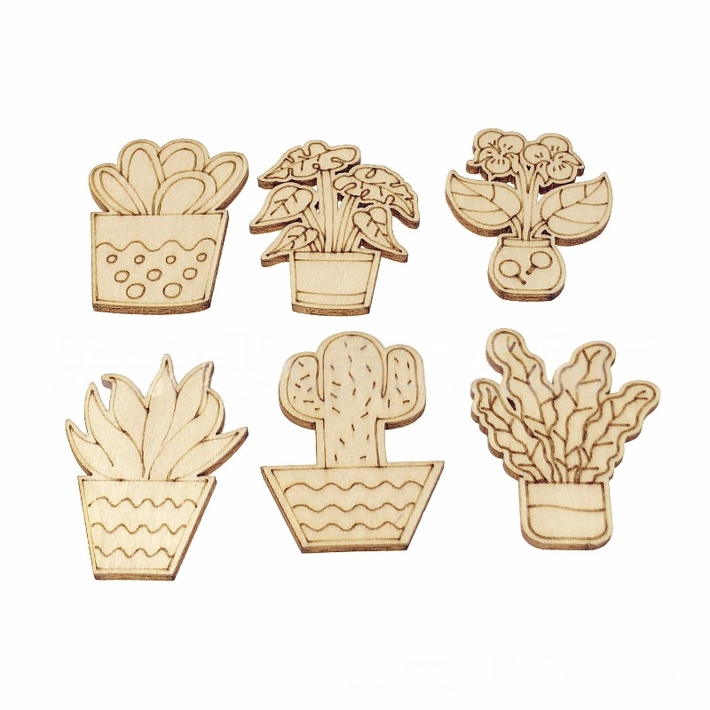 50PCS Mixed Styles Flower Cact - Cactus Mix Pot recensione e prezzo