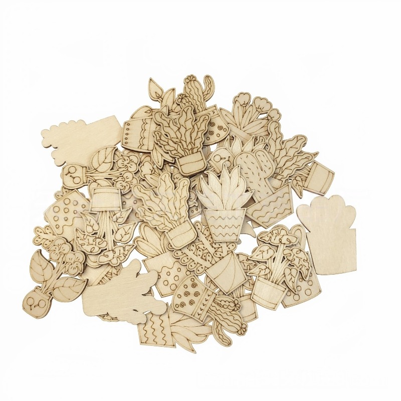 50PCS Mixed Styles Flower Cact - Cactus Mix Pot recensione e prezzo