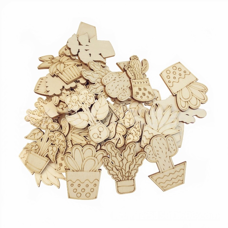 50PCS Mixed Styles Flower Cact - Cactus Mix Pot recensione e prezzo